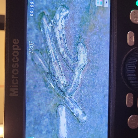 Signed KC - Picture 4 of 4